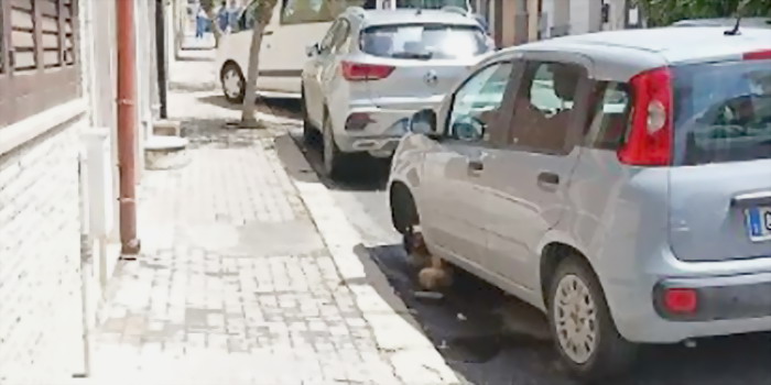 Automobilista buca la gomma per una buca, lascia l’auto parcheggiata e la ritrova senza una ruota. Oltre al danno, pure la beffa a Vittoria