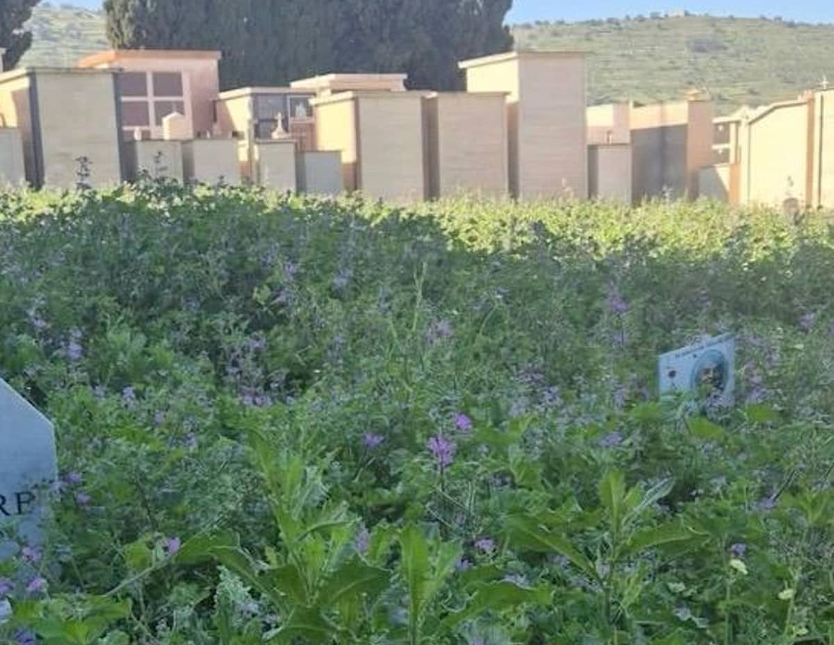 Comiso, interrogazione Pd sul degrado del cimitero comunale