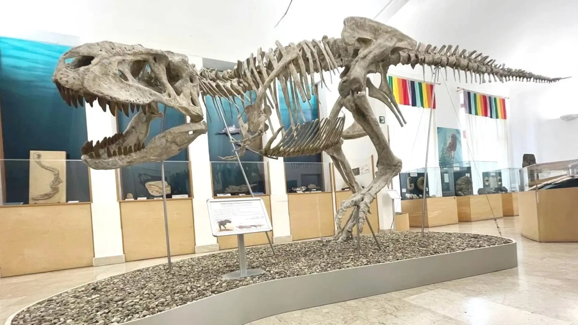 Mostra dinosauri Comiso prorogata fino al 31 dicembre