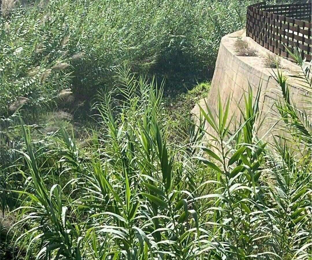 Comiso, al via la bonifica del fiume Ippari