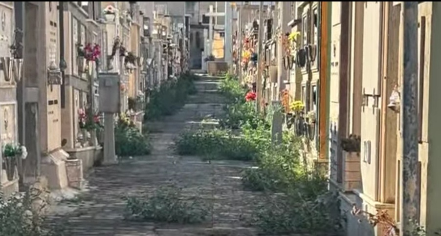 Comiso, cimiteri nel degrado: il diserbo non basta, erbacce e viali impraticabili fanno infuriare i cittadini