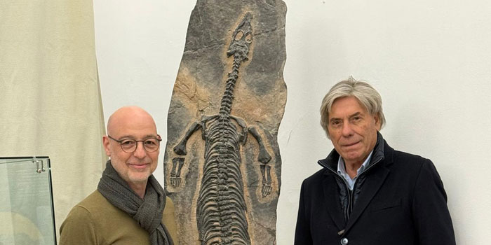 Il Notosauro, rettile marino di 230 milioni di anni fa, in mostra al Museo di Storia Naturale di Comiso. Esemplare di circa 2 metri