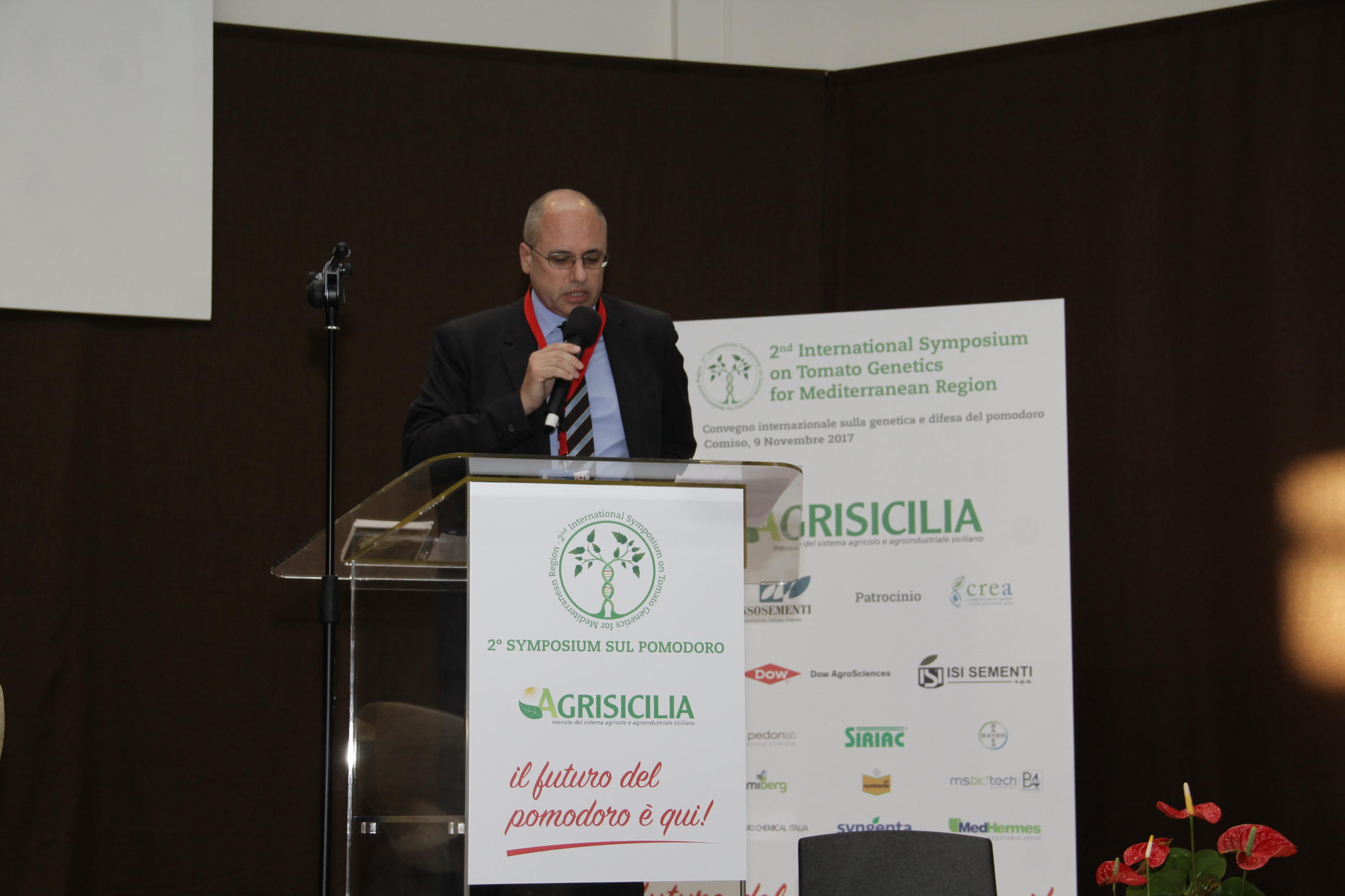 Pomodorino: una seconda vita grazie all’industria conserviera. Tra innovazione vivaistica e trasformazione, quale futuro per il prodotto siciliano?