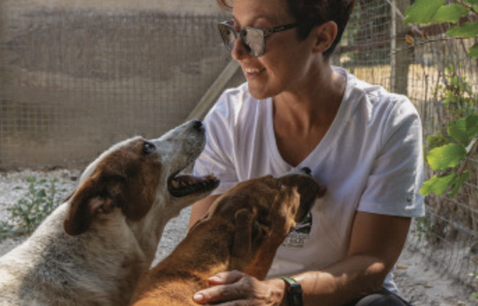 Chiaramonte, sabato una giornata per incentivare l’adozione dei cani