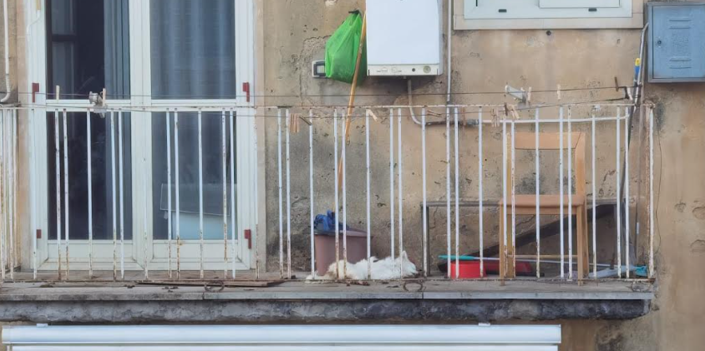 Comiso, cane morto su un balcone: gli animalisti denunciano