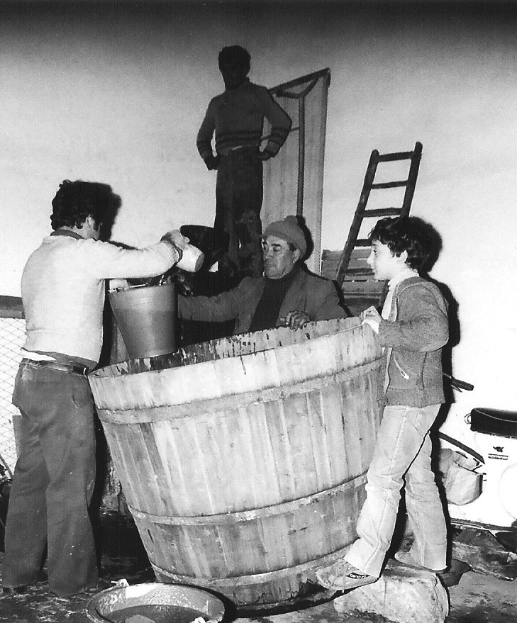 Acate, il "rito" della vendemmia: quella poesia fatta di gesti, odori e sapori