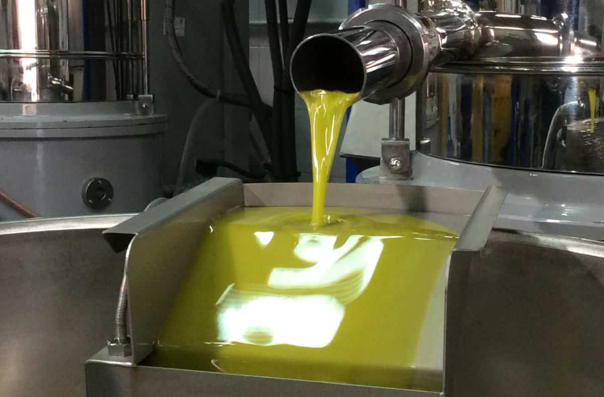 Frantoi Aperti, l'Olio DOP Monti Iblei incontra i consumatori e festeggia 25 anni di qualità - Quotidiano di Ragusa