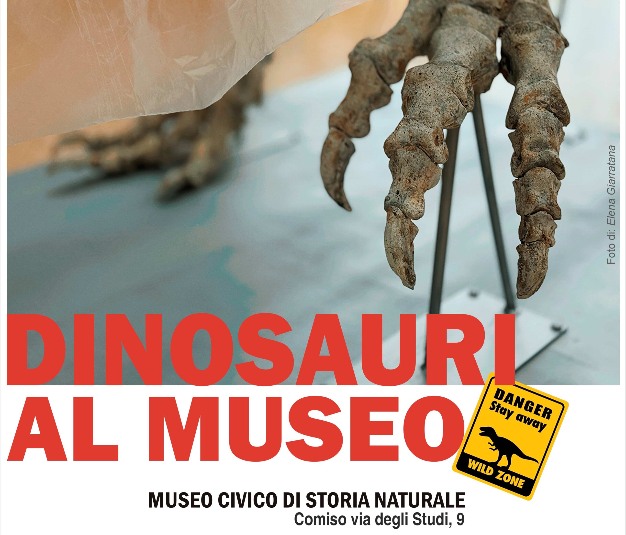 Dinosauri a Comiso: mostra unica in Italia - Quotidiano di Ragusa