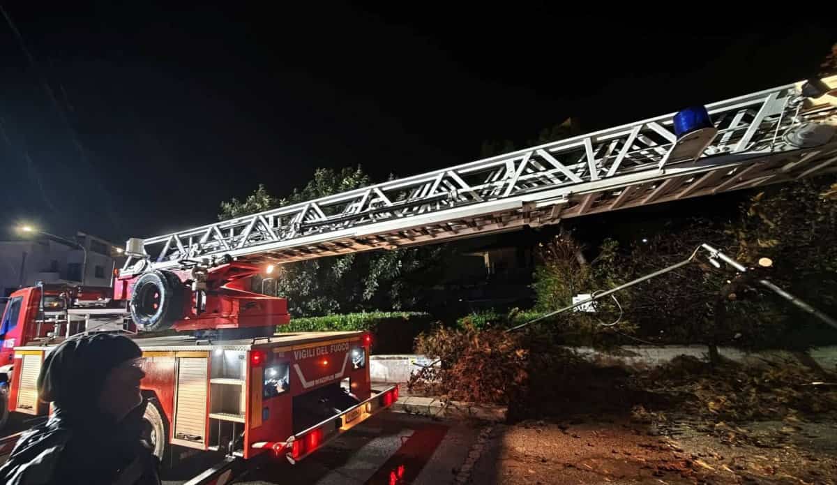Maltempo Comiso, danni per il ciclone Harry - Quotidiano di Ragusa