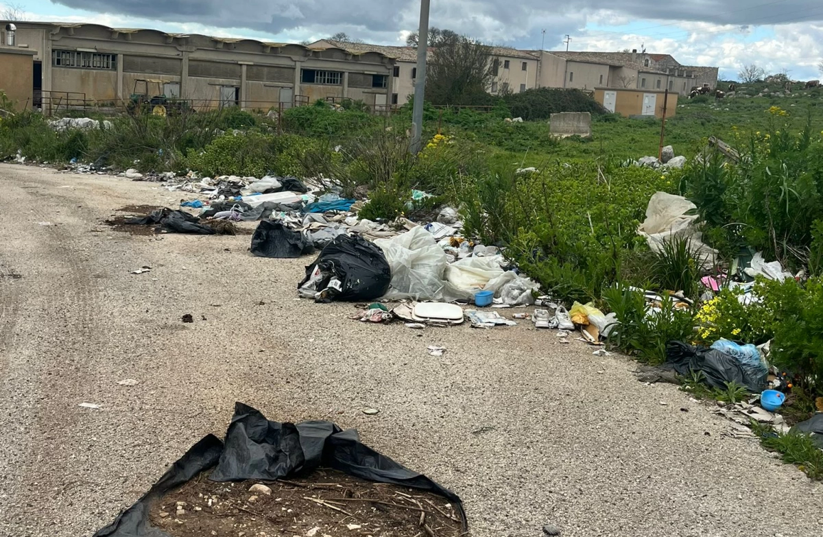 Degrado a Ragusa: via Cascone tra rifiuti e rovi — Quotidiano di Ragusa