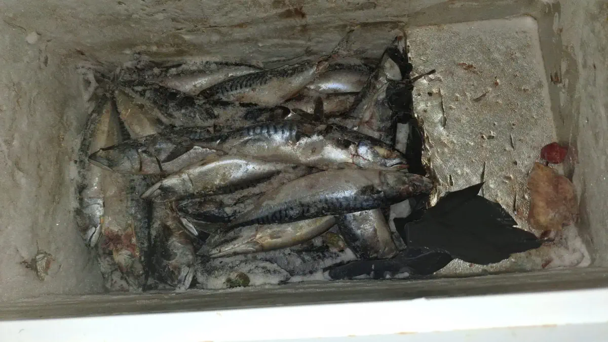 Comiso market abusivo sequestrato in centro storico: 300 kg merce