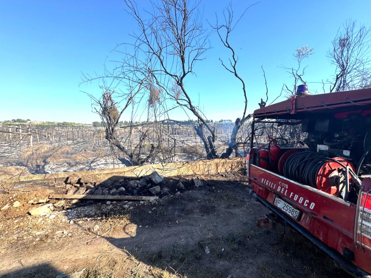 Vasto incendio di sterpaglie tra Comiso e Vittoria