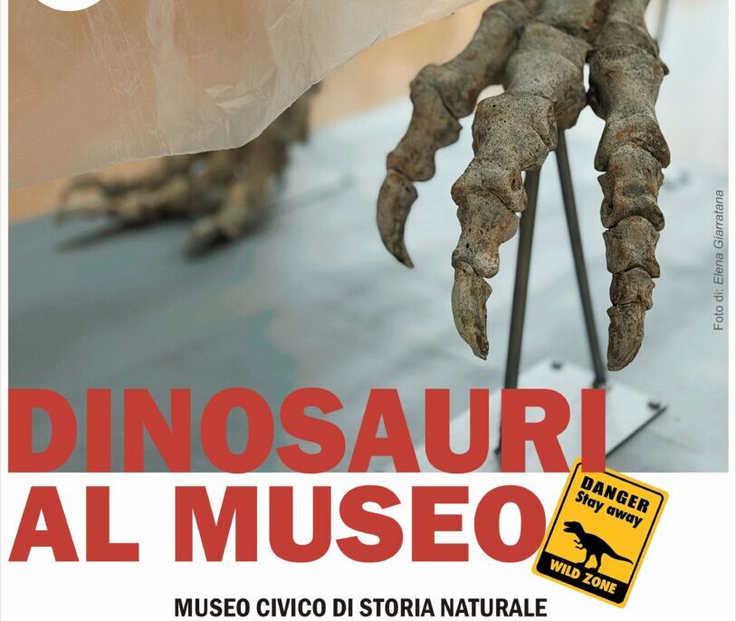 Comiso inaugura “Dinosauri al Museo”. Presenti reperti unici