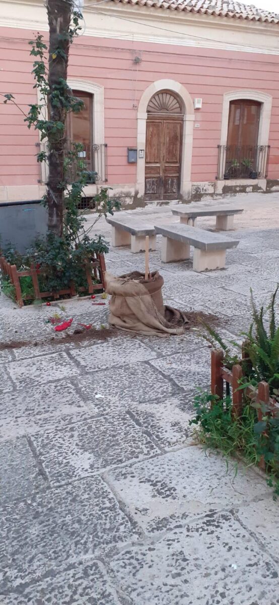 Comiso, rubato l'albero di Natale della parrocchia San Giuseppe