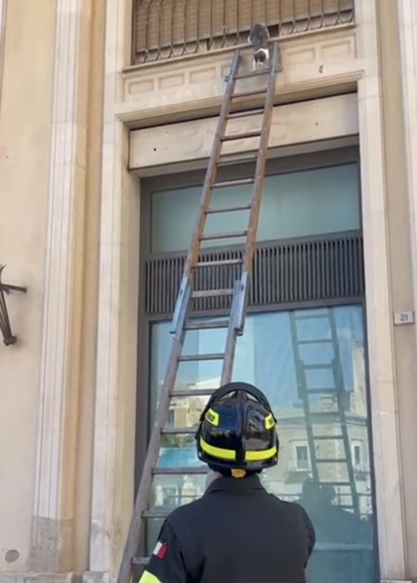 Comiso, Vigili del Fuoco salvano gattino a pochi passi dal Municipio