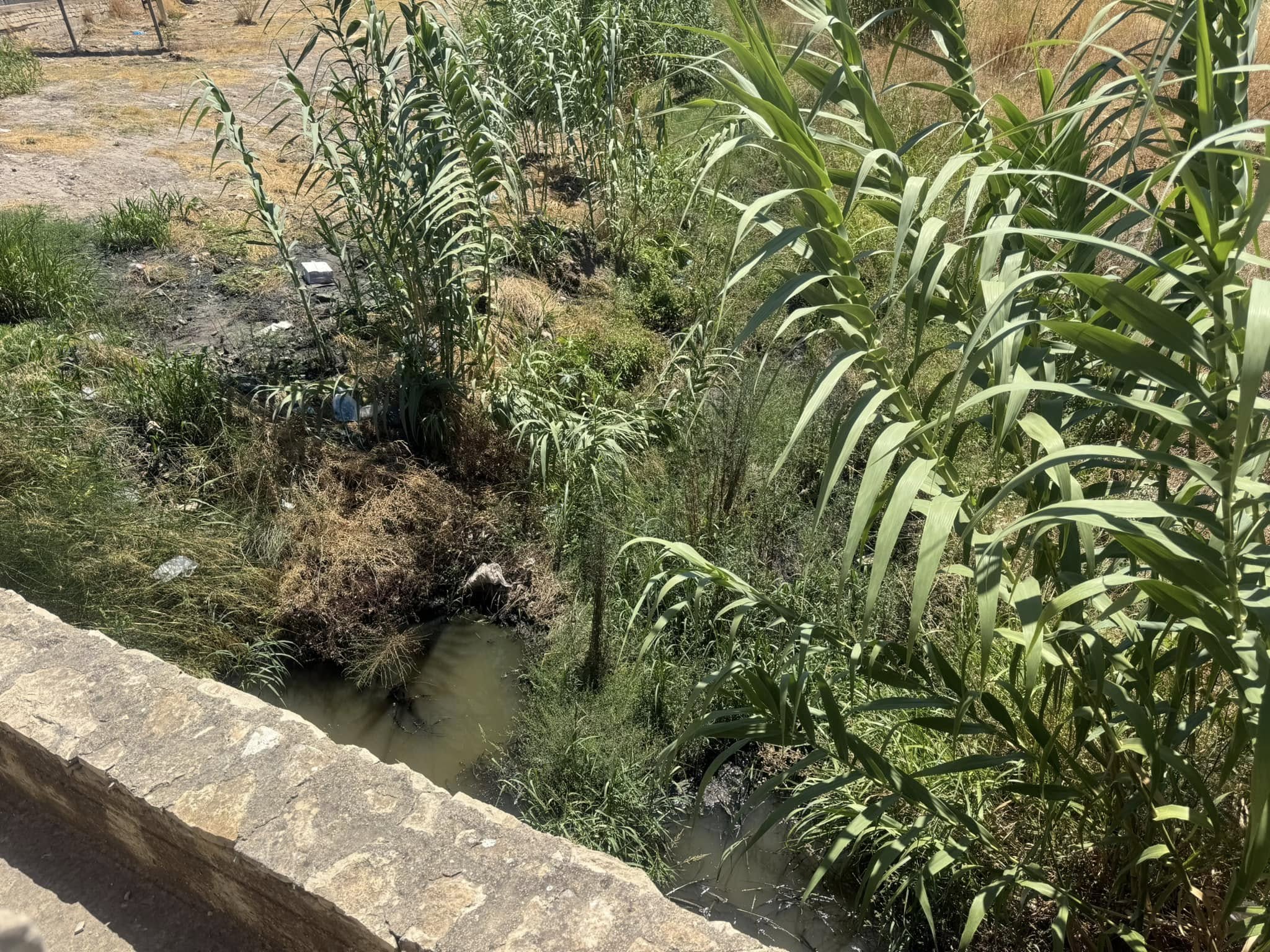 Allarme ambientale sul fiume Ippari: liquami fognari scaricati a cielo aperto