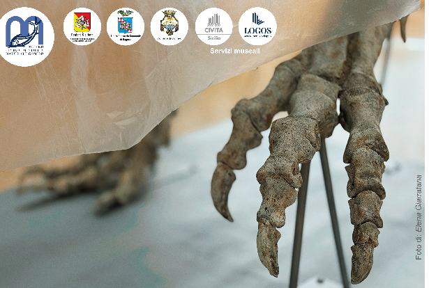 Dinosauri al Museo: il 30 novembre a Comiso il più grande tirannosauride esposto in Italia